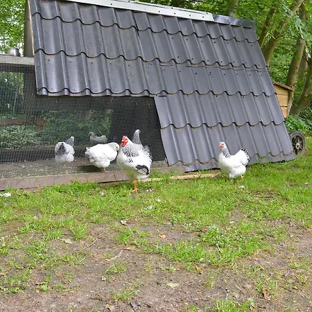 De Notelaar Putten