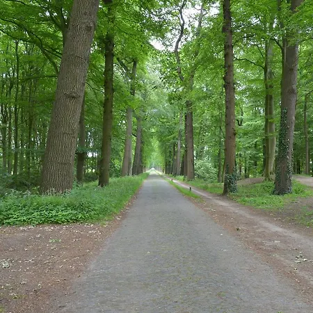 Holiday home De Notelaar Putten